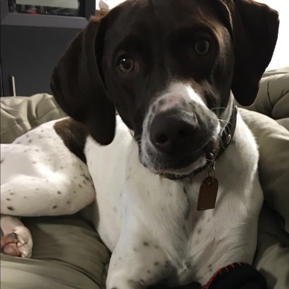 Meet your Posher, Terri - Picture 1 of 1